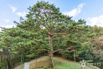 희양산 여행 추천 - 메고지고