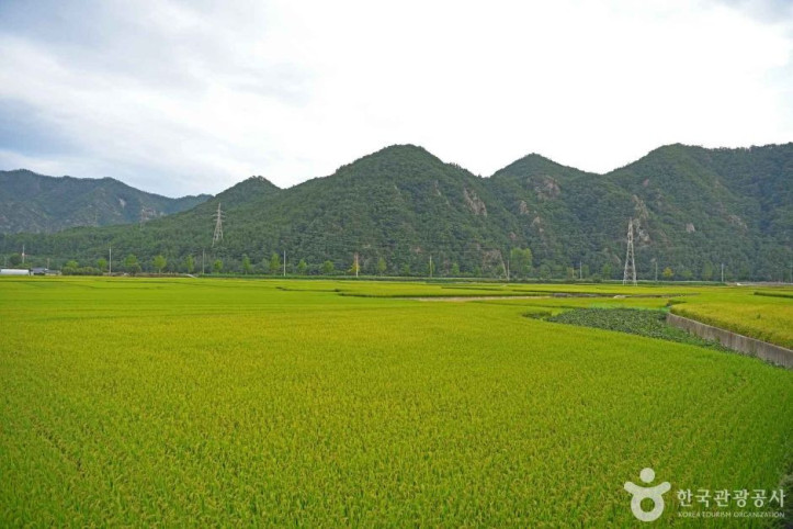 산양마을 여행 추천 - 메고지고