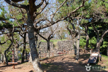 보림사(제주) 여행 추천 - 메고지고