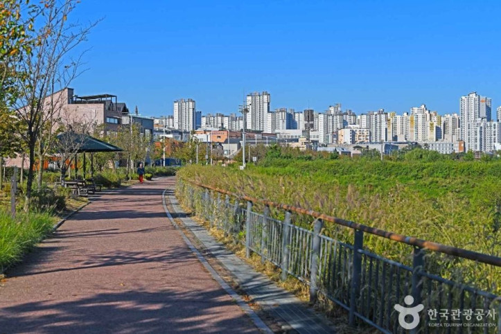 김포 사색의 길 여행 추천 - 메고지고