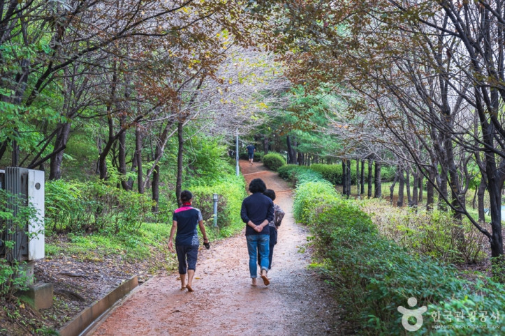 에코힐링 황톳길 여행 추천 - 메고지고