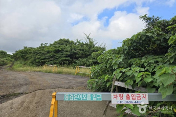성불오름 여행 추천 - 메고지고