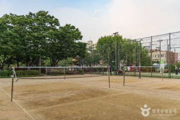 답십리 영화의 거리 여행 추천 - 메고지고