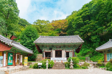 금성산(전남) 여행 추천 - 메고지고