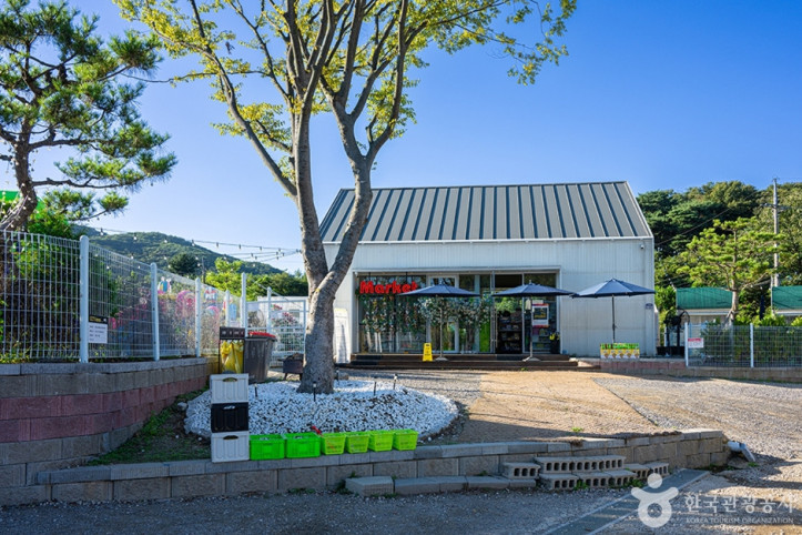 양주르 여행 추천 - 메고지고