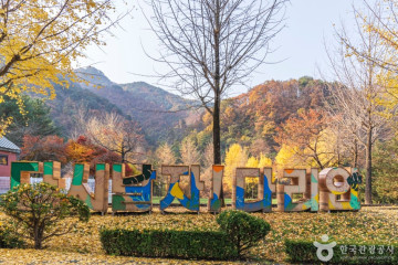 다리안계곡 여행 추천 - 메고지고