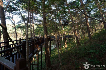 병술만어촌체험마을 여행 추천 - 메고지고