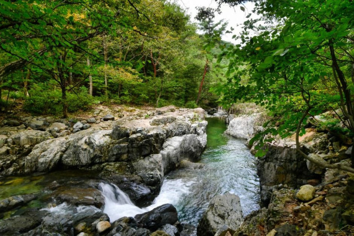 내원사계곡(양산) 여행 추천 - 메고지고