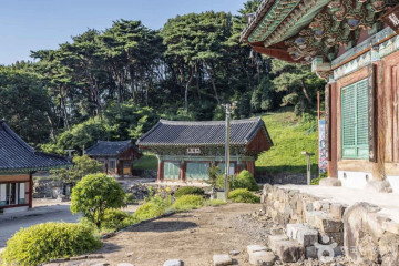 청원 연꽃마을 여행 추천 - 메고지고