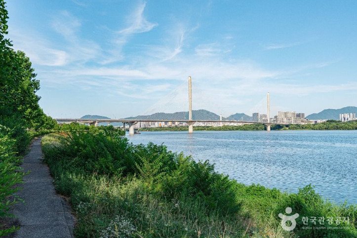 구리한강시민공원(코스모스공원) 여행 추천 - 메고지고
