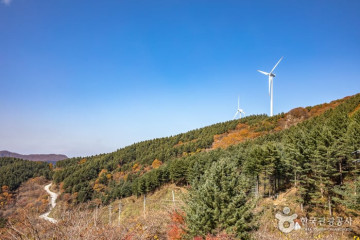 봉복사(횡성) 여행 추천 - 메고지고