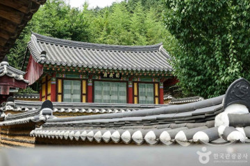 달창재(달창사랑 협동조합) 여행 추천 - 메고지고