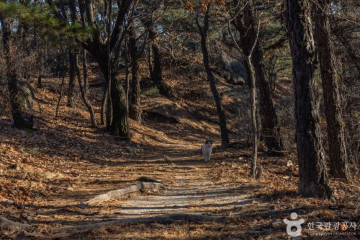 금빛공원 여행 추천 - 메고지고