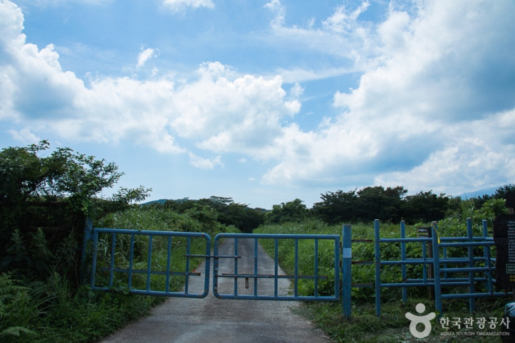 수망리 마흐니숲길 여행 추천 - 메고지고