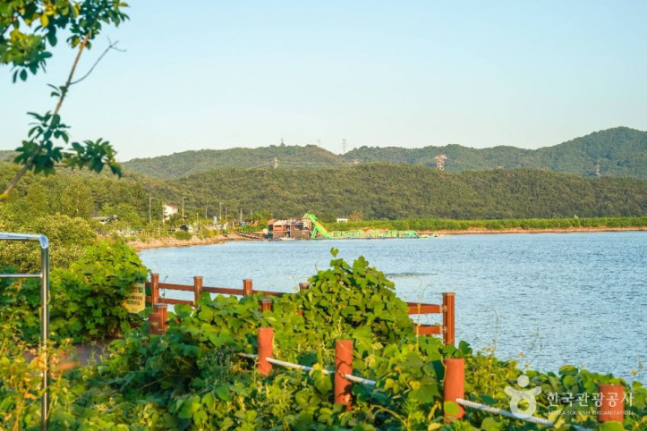 지천지 여행 추천 - 메고지고