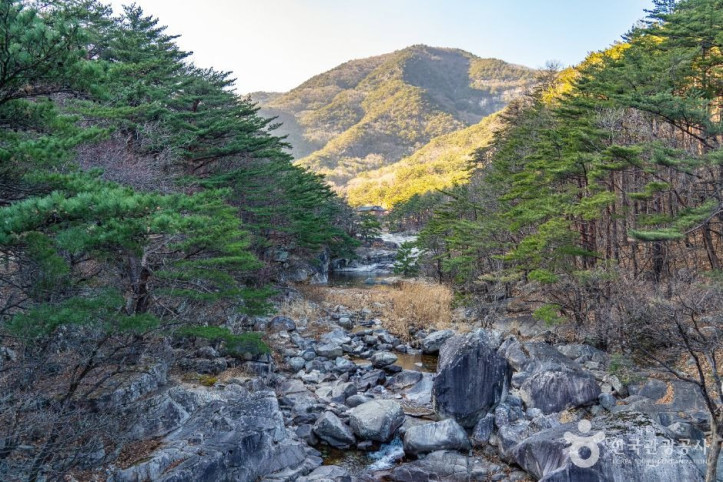 금란정 여행 추천 - 메고지고