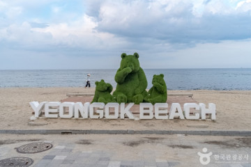 강릉아기동물농장 여행 추천 - 메고지고