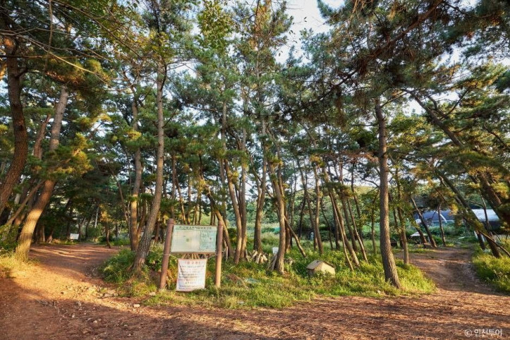 호룡곡산 여행 추천 - 메고지고