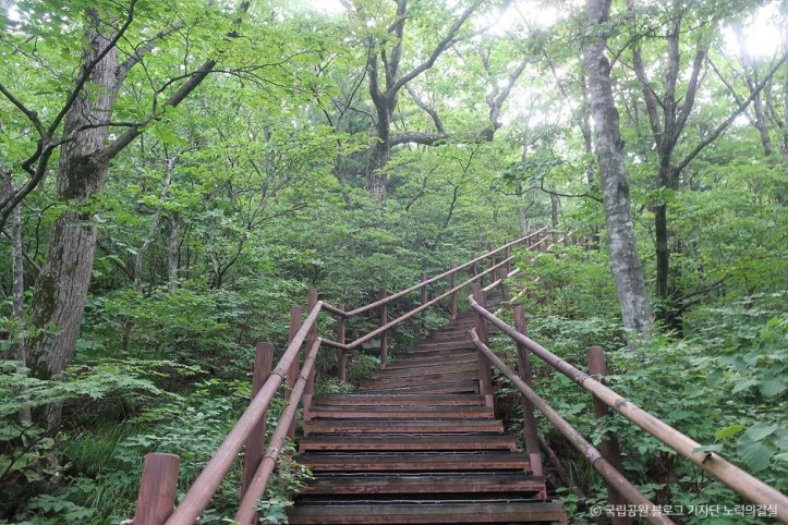 오대산국립공원 여행 추천 - 메고지고