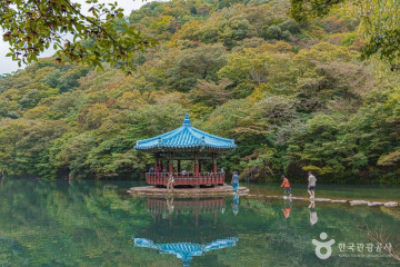 우화정(내장산) 여행 추천 - 메고지고