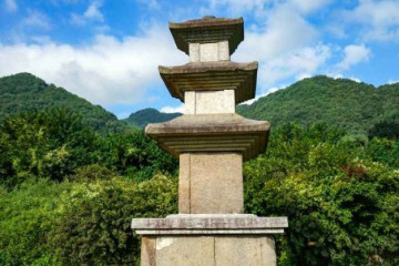 송정숲 여행 추천 - 메고지고