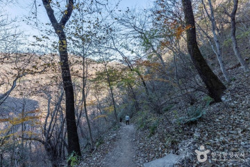 우화정(내장산) 여행 추천 - 메고지고