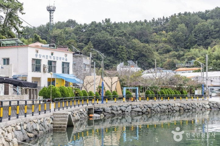 궁항어촌체험마을 여행 추천 - 메고지고