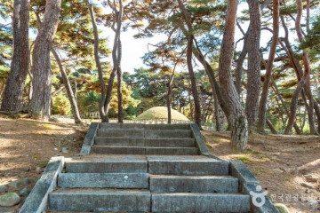 망월사(경주) 여행 추천 - 메고지고