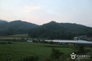 백덕산(평창) 여행 추천 - 메고지고