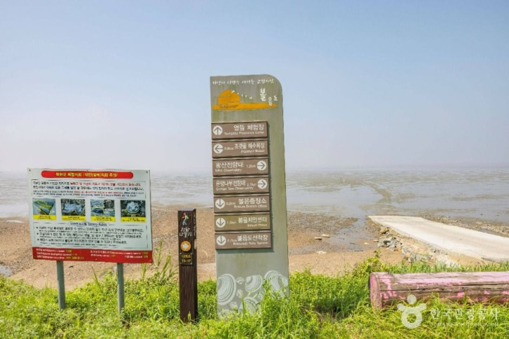 영뜰해변 여행 추천 - 메고지고