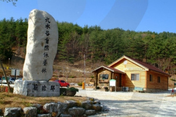 응봉산(울진) 여행 추천 - 메고지고