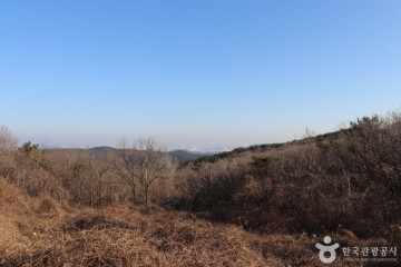 Fe01(에프이01) 여행 추천 - 메고지고