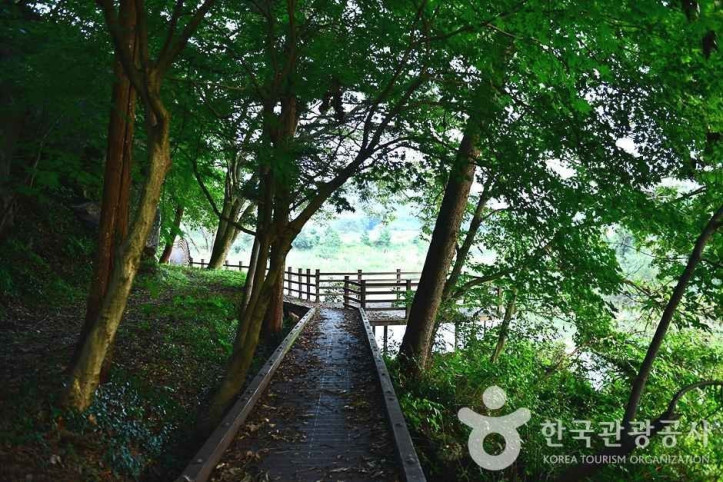 반구정습지 여행 추천 - 메고지고