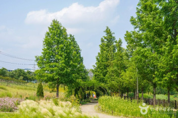 마천산산림욕장 여행 추천 - 메고지고