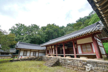 대각서원 여행 추천 - 메고지고