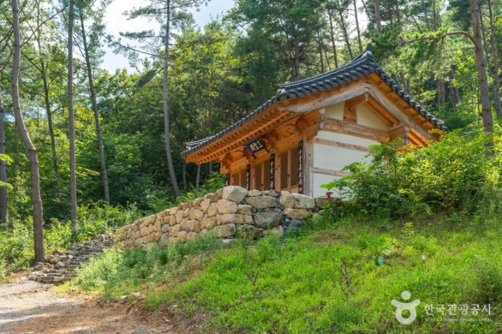 대비사(청도) 여행 추천 - 메고지고