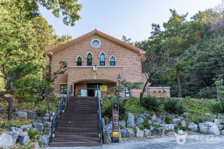 감곡매괴성모순례지성당 여행 추천 - 메고지고