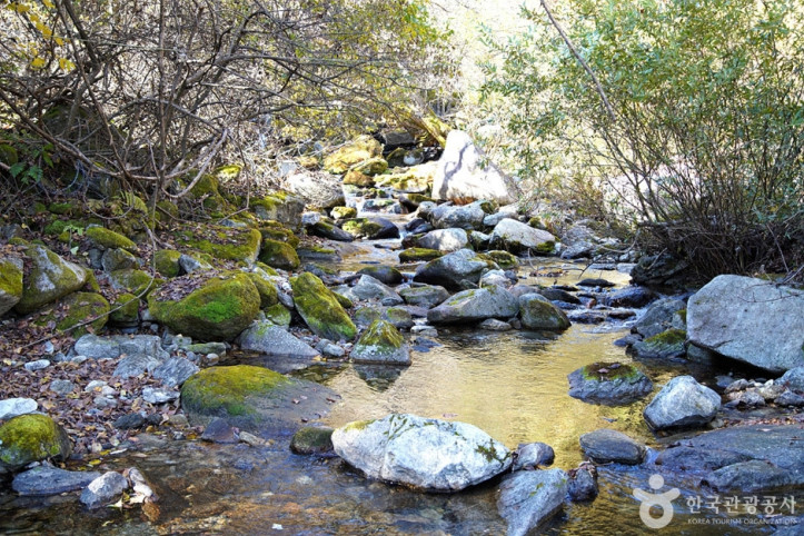 화악산 여행 추천 - 메고지고