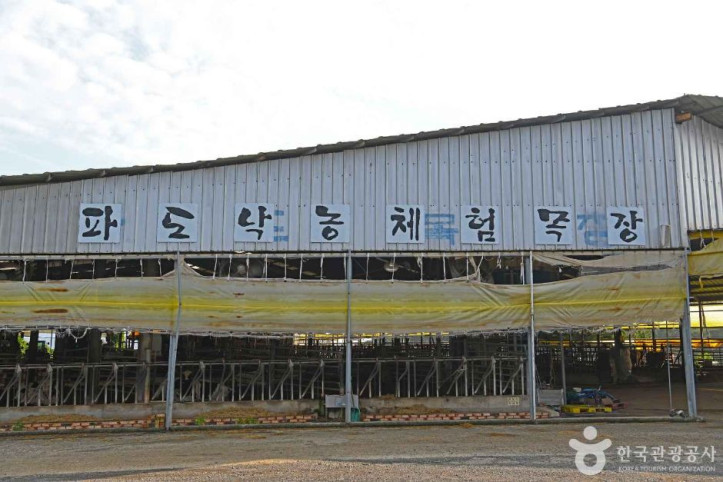 파도목장 여행 추천 - 메고지고