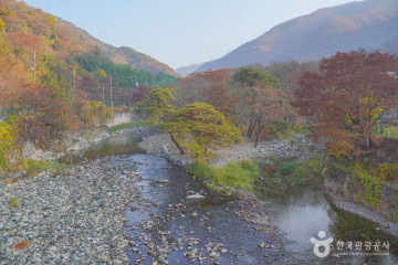 배내골장선휴마을 여행 추천 - 메고지고