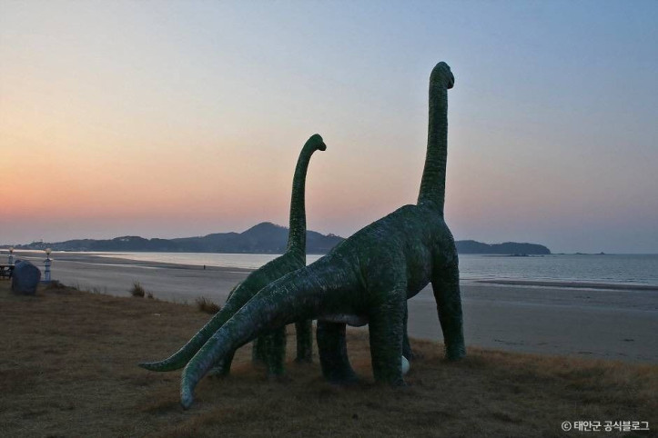 신두리해수욕장 여행 추천 - 메고지고
