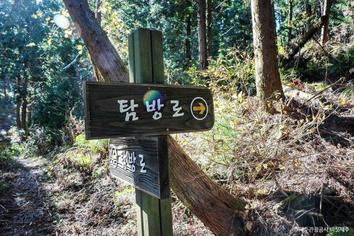 성불오름 여행 추천 - 메고지고