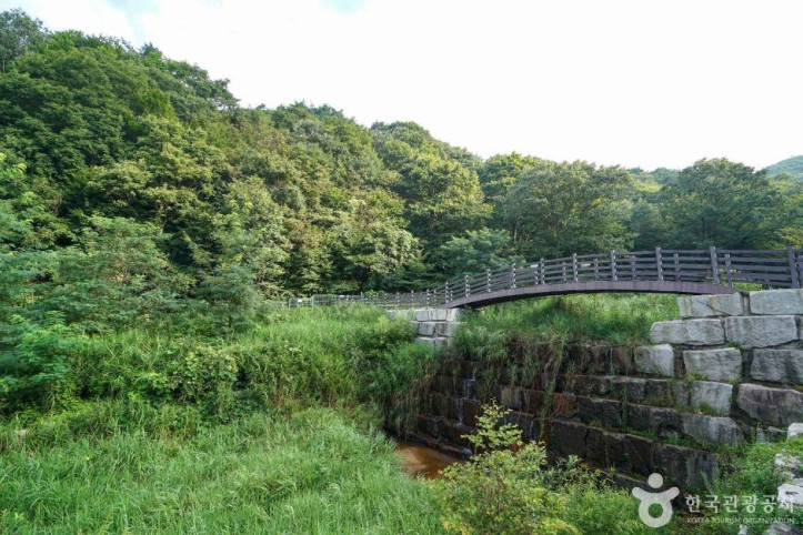 산삼 자연휴양림 여행 추천 - 메고지고