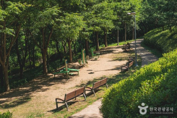 팜다원 여행 추천 - 메고지고