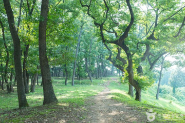 월성이랑 여행 추천 - 메고지고