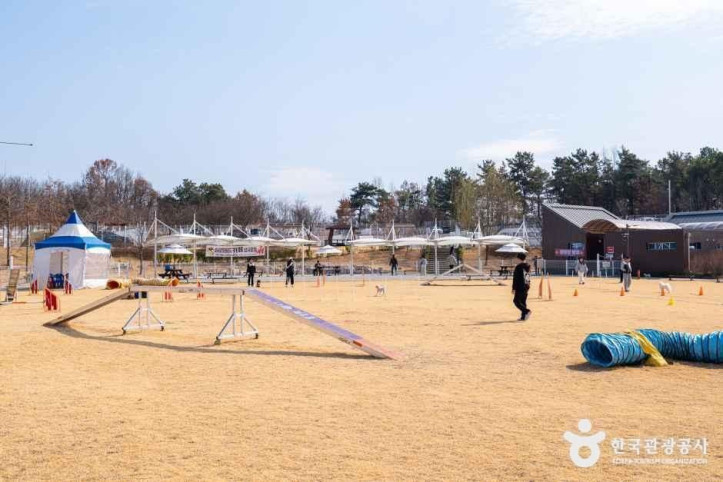 의성펫월드 여행 추천 - 메고지고