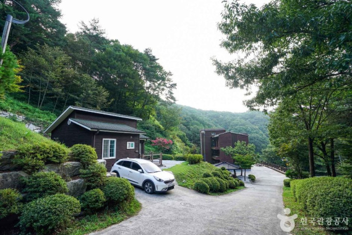 산삼 자연휴양림 여행 추천 - 메고지고