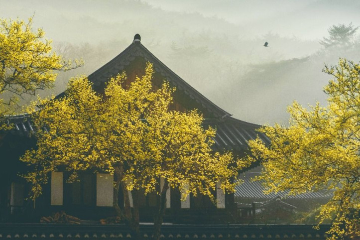 송광사(순천) 여행 추천 - 메고지고