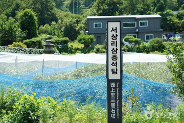 춘천시 반려동물 놀이터 같이놀개 여행 추천 - 메고지고
