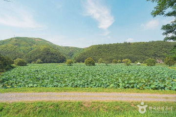 옹기골도예 여행 추천 - 메고지고